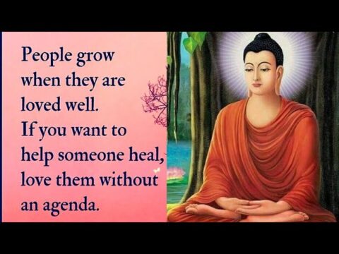 Buddha Life Wisdom Quotes | Pure Devine Energy | By – K. Umakrishnaaveni