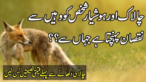 Out Standing Urdu Quotations| New Urdu Quotes | Sad Quotes About Life | Motivational Hindi Quotes |