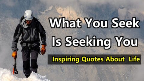 Rumi Quotes | Quotes On Life | Cute Love Quotes | Motivational Quotes In English | Best Love Quotes