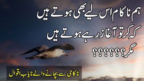 Unique Urdu Quotes | Quotes About Life | Motivational Quotes | Life Changing Quotes In Urdu Hindi