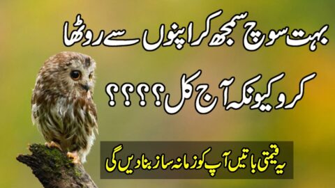 Beautifu Aqwal e Zareem in Urdu | Quotes About Life | Motivational Quotes In Hindi | Quotes In Urdu