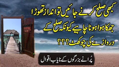 Moral Urdu Quotes | Deep Motivational Quotes For Success | Collection Of Beautiful Hindi Quotes |