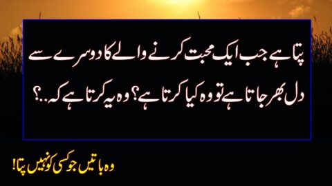 Best Collection of Love Quotes |Amazing Heart touching Quotes|Sad Life Quotes|Sad Relationship Quote