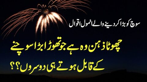 Nice Quotations In Urdu | Best Urdu Quotes | Quotes About Love | Golden Words In Urdu & Hindi |