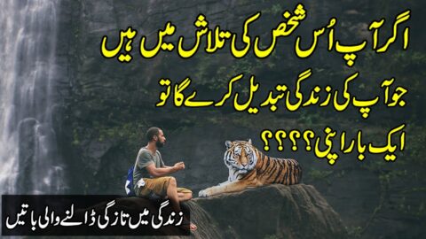 Inspirational Quotes | Motivational Quotes in Urdu & Hindi | Life Changing Quotes | Zubair Maqsood |