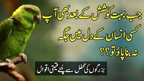 Quotes About Life Lessons In Urdu | Quotes About Love | Golden Words In Hindi |Urdu Aqwal e Zareen