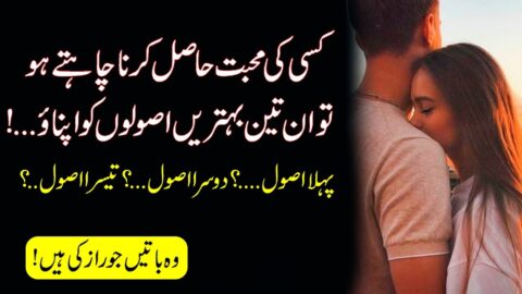 Women Quotes |Heart touching Love Quotes (Qeemati Baatein)Aqwal e Zareen|Life Quotes |Best Quotes