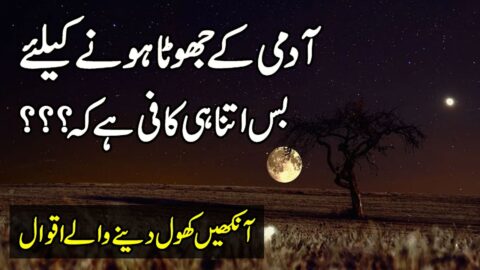 Latest Urdu Quotes By Zubair Maqsood|Golden Words In Urdu|Quotes About Love|Motivational Hindi Quote