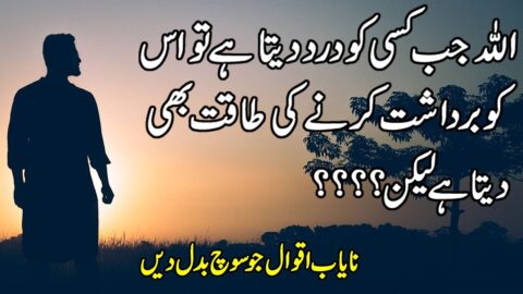 Amazing Collection of Urdu Quotes | Quotes on Hassad | Golden Words In Urdu | Hindi Sad Quotes |