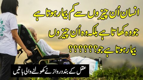 Precious Words By Zubair Maqsood | Quotes About Life In Urdu | Quotes About Health |Hindi Quotations