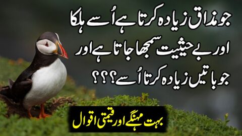 Precious Words In Urdu | Urdu Quotes | Aqwal e Zareen In Urdu | Hindi Urdu Quotes About Life