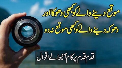 Beautiful Quotes In Urdu | Quotes About Friendship | Dhoka Quotes In Urdu | Hindi Quotes About Love