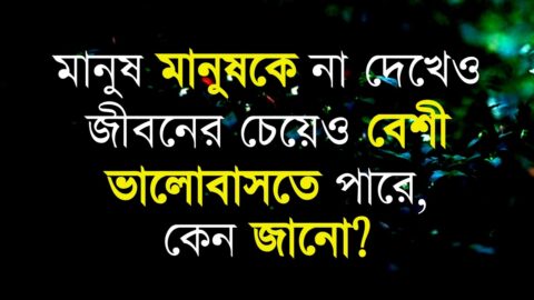 উপদেশ নিয়ে পৃথিবীর সেরা উক্তি | The Best Quotes In the World of Advice | Change Your Life This Video