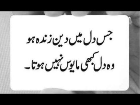 Random Islamic Quotes Collection In Urdu Part 1