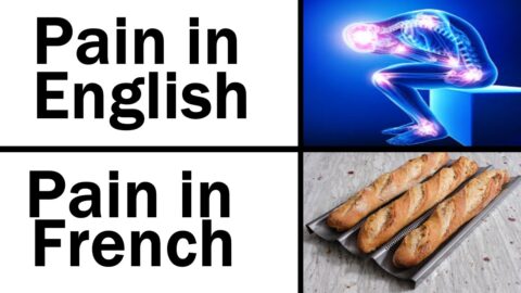 Daily Juicy Memes 545