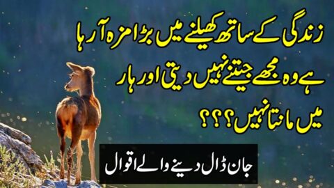 Golden Words In Urdu | Urdu Quotes | Beautiful Quotes | Quotes Status In Hindi | Nayab Aqwal |