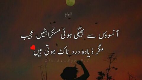 Urdu Quotes to Listen When You Are Sad | Sad Urdu Quotes