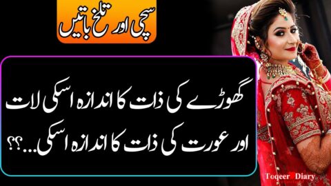 Amazing Women Quotes|Aqwal E Zareen|Famous Quotes|breakup Quotes |Quotes on love & Relationship