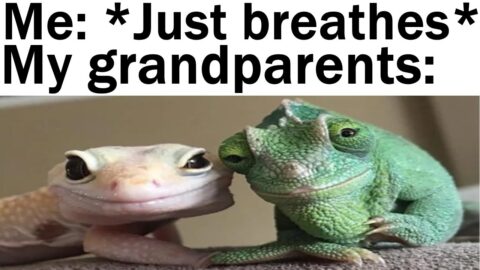 Daily Juicy Memes 563