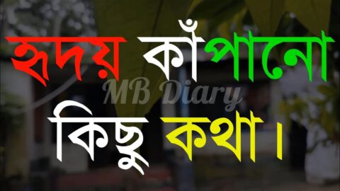 হৃদয় কাঁপানো কিছু-Life Changing Motivational Quotes in Bengali | Monishider Bani Kotha By MB Diary