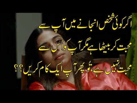 New Love Quotes In Urdu | Quotes About Life | Sabaq Amoz Aqwal | Qeemti Batain |Hindi Quotes Part 12