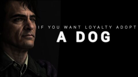 IF YOU WANT LOYALTY ADOPT A DOG – Joker Attitude Relatable Quotes.