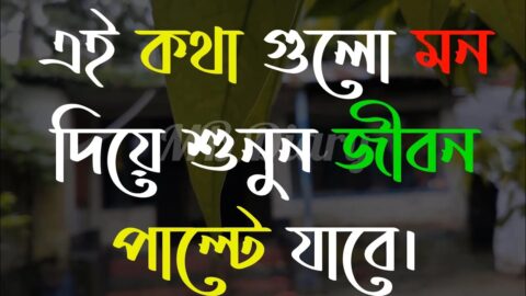 কথা গুলো মন দিয়ে -Life Changing Motivational Quotes in Bengali | Monishider Bani Kotha By MB Diary