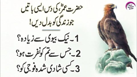 Amazing Quotes In Urdu (Best Collection Of Hazrat Umar Quotes) Rj Faizan Khan | Hazrat Umar Qol #2