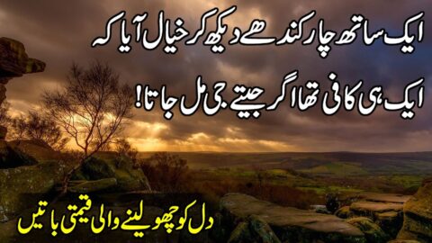 Best Urdu Quotes | Hindi Quotes About Love | Quotes About Success | Aqwal E Zareen | Golden Words