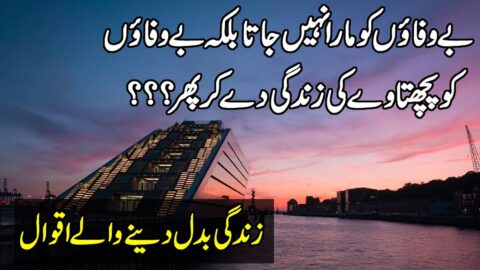 Heart Touching Quotes In Urdu |Quotes About Life |Motivational Quotes In Hindi |Inspirational Quotes
