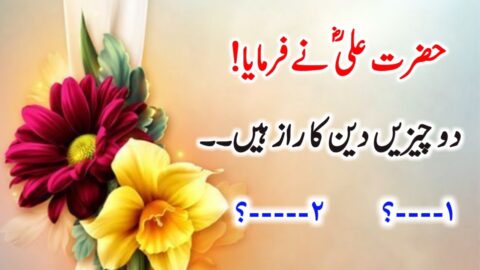 Hazrat Ali (R.A) Heart Touching Quotes In Urdu Part 84 | Hazrat Ali (R.A) Ki Pyari Pyari Baatain