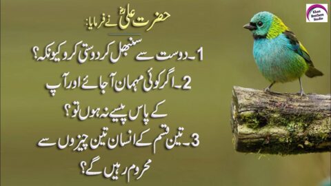 Amazing Quotes In Urdu (Best Collection Of Hazrat Ali Quotes) Rj Shan Ali | Hazrat Ali Qol #15
