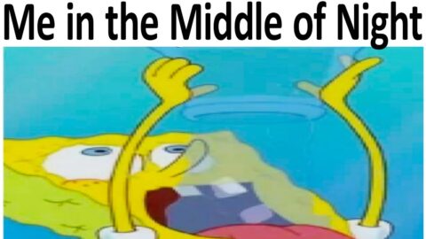 DANK DOODLE MEMES V806