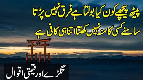 Quotes About Life In Hindi | Urdu Quotes | Quotes about Friendship | Motivational Quotes in Hindi