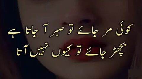 Sad Urdu Quotes for Broken Hearts | Sad Quotes | Amazing Sad Quotes in Hindi | Sad Quotes for Life