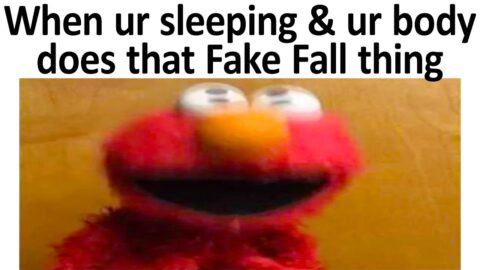 DANK DOODLE MEMES V810