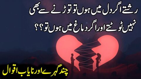 Urdu Quotes | Golden Words in Urdu | Sunehri Aur Nayab Aqwal | Quotes Hindi Motivational|Life Quotes