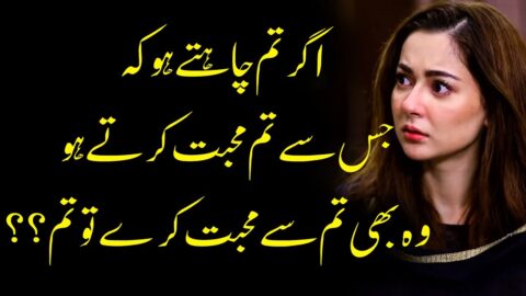 Breakup Famous Quotes in urdu |Urdu Hindi Life Quotes |Sad Quotes |Amazing Quotes Part 10