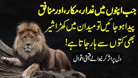 Motivational Quotes| Quotes In Urdu | Inspirational Urdu Quotes | Best Hindi Quotations