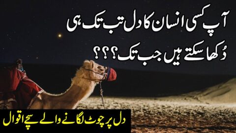 Amazing Collection Of Urdu Quotes | Quotes About Love In Urdu | Aqwal E Zareen | Motivational Quotes