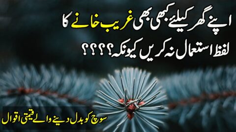 Motivational Quotes In Hindi | Inspirational Quotes | Quotes About Life In Urdu | Urdu Quotes |
