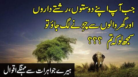 Quotes | Quotes About Love | Urdu Quotes | Urdu Captions | Best Hindi Quotes Status |Sad Love Quotes