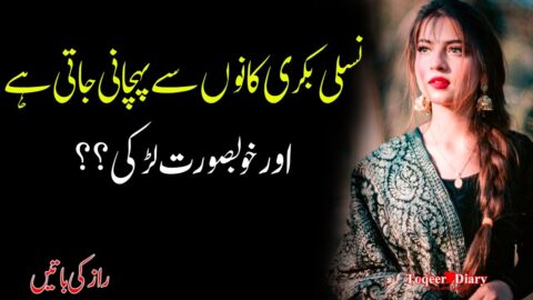 Best Selected Golden Quotes in Urdu |Fantastic Love Quotes |Urdu Best Quotes part 41