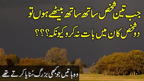Urdu Quotes | Urdu Captions | Quotes About Love | Quotes About Life | Motivational Quotes In Hindi |