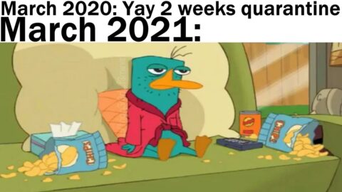 Daily Juicy Memes 630