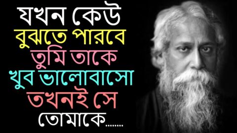 যখন কেউ বুঝতে পারবে তুমি ! Best Motivational Quotes In Bangla