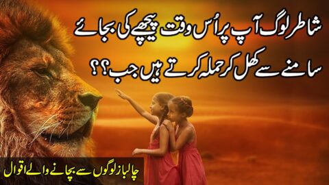 Precious Words In Urdu | Nayab Aqwal | Beautiful Urdu Quotations | Inspirational Hindi Quotes |