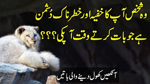 Amazing Urdu Quotes | Quotes About Life | Best Urdu Quotes | Hindi Quotes |Hindi Motivational Quotes