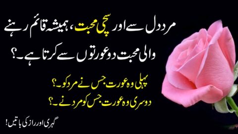 Women Quotes in Urdu |Lesson able Hindi Quotes|Aqwal e Zareen |Heart touching Quotes|love Quotes