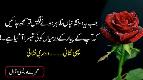 Heart touching Urdu Hindi Quotes |Best Quotes About Life |Golden Urdu Hindi Quotes |Anmol Quotes